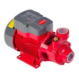 Bomba Periférica 0,5cv Bb 500p Branco Cor Vermelho Voltagem 110v