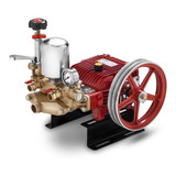 Bpf22