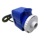 Bivolt