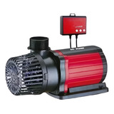 110v