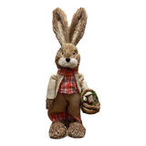 Boneco Coelho Em Pé Enfeite Jardim Árvore Osterbaum 40cm