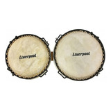 Bongo Liverpool 6x7 Ywbd-0708