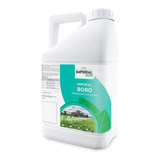 Boro 10% Fertilizante Adubo P/ Plantas