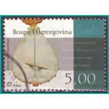 Bósnia E Herzegovina - Instrumentos Musicais - Violino -2005