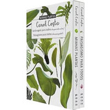 Box Minhas Plantas ( 2 Livros ), De Carol Costa. Série Minhas Plantas Editora Paralela, Capa Dura Em Português, 2021