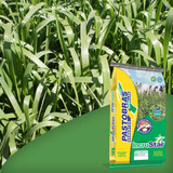 Brachiaria Brizantha Cv Mg-4 Incrustar® 10 Kg