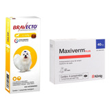 Bravecto Antipulgas E Carrapatos Cães De 2 A 4,5kg + Brinde