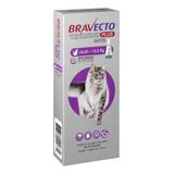 Bravecto Plus Gatos De 6,25 A 12,5 Kg Transdermal - 500 Mg