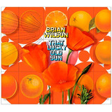 Brian Wilson - That Lucky Old Sun - Cd