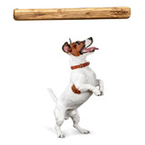 Brinquedo Cachorro Mordedor P Sustentável Wood