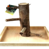 Brinquedo De Madeira Para Aves Poly Play M Toy For Bird
