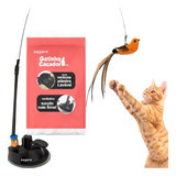 Brinquedo Gato Varinha Pássaro Com Ventosa Fixa Chao Parede 