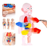 Brinquedo Kit Medico Boneco Corpo Humano