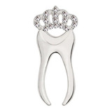 Broche Pin Dentista Protetica Academica Molar Com Coroa Sm