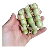 Estacas