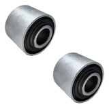 41mm