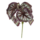 Buque De Begonia 29 X 23 Cm