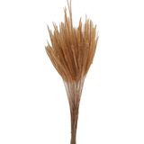 Flor