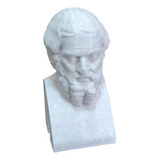 Busto Heródoto 10cm