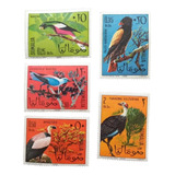 C5719 Somália - Fauna Ave Yvert Nº 47/51 De 1966 Nnn