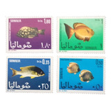 C5721 Somália - Fauna Peixe Yvert Nº 76/9 De 1967 Nnn