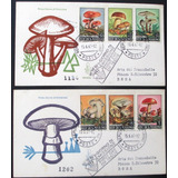 C7950 San Marino - Fdc's Cogumelos Série Completa Yvert Nº