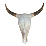Cabeça De Boi Cranio Caveira Natural