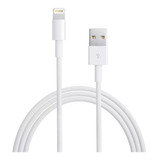 Cabo Lightning Apple Original De 1 Mt - iPhone 5, 6, 7, 8 X 11