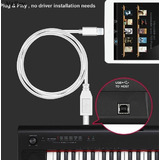 Cabo Midi P/ iPhone iPad Instrumentos