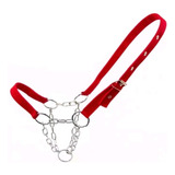 Cabresto De Fita Nylon Corrente Para Bezerro. Envio Imediato