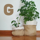 G