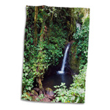 Cachoeira De Rosas 3d - Reserva Florestal Nublada De Monteve