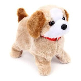 Cachorro
