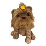 Cão