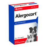 Cachorro Com Alergia Na Pele Alergocort