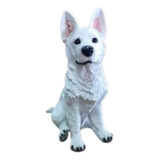 Cachorro Pastor Alemão Suíço Branco Em Resina 61cm Decoração