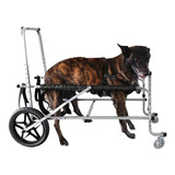 Cadeira Andador 4 Rodas Cão Cachorro