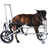 Cadeira Andador 4 Rodas Cão Cachorro Grande Porte 25 A 50kg