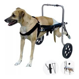 Cadeira De 2 Rodas Cachorro Cão