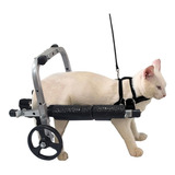 Cadeira De Rodas Para Gato Cachorro