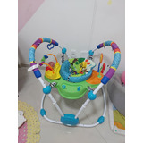 Cadeira Jumper Baby Einstein 6-12 Meses