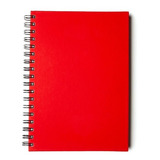 Caderno Comercial 16x23 Cm 100 Folhas Com Pautas