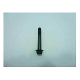 10x65mm