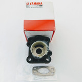 Caixa + Cartucho Bomba Água Yamaha 2t 9,9 D / 15 D Antigo 