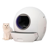 Gatos