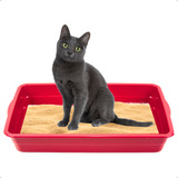 Caixa De Areia Gato Banheiro Para Gatos Bandeja Higiênica