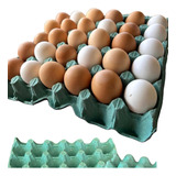 Caixa De Ovos 50 Unidades Para 30 Ovos De Galinha Cor Verde