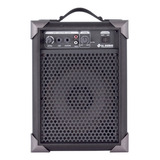 Caixa De Som Amplificada Microfone/guitarra Lx40