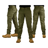Masculina