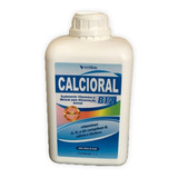 Calcioral B12 01 Litro Suplemento Vitamínico